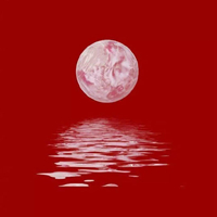 秘制毒药 时尚炫音