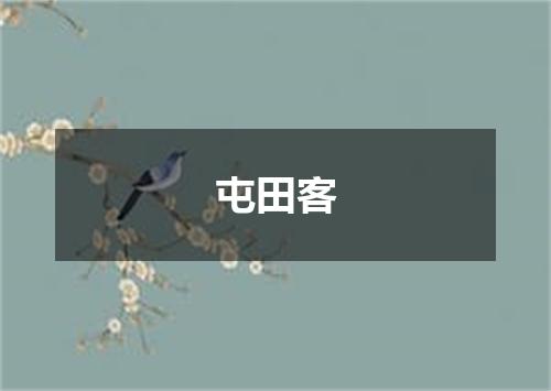 屯田客