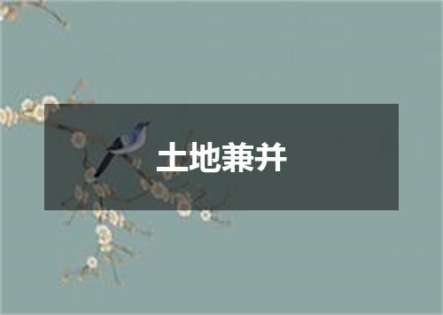 土地兼并