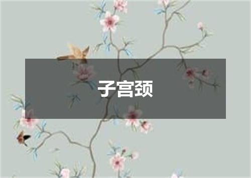 子宫颈