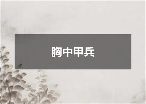胸中甲兵