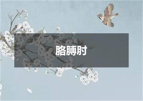 胳膊肘