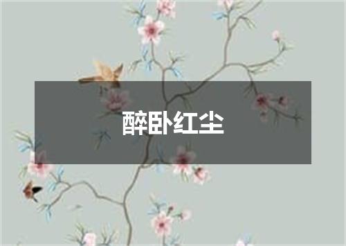 醉卧红尘