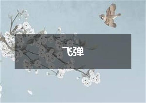 飞弹