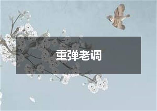 重弹老调
