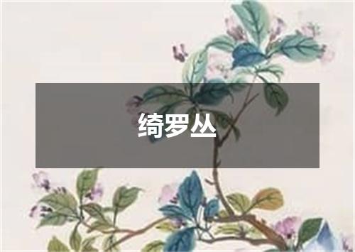 绮罗丛