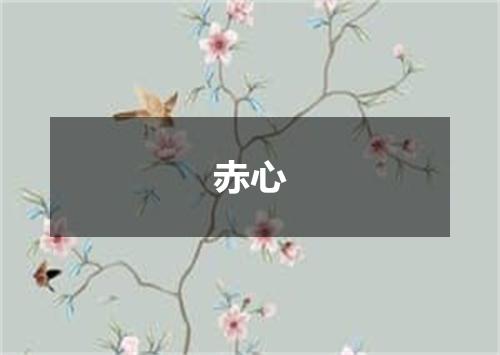 赤心