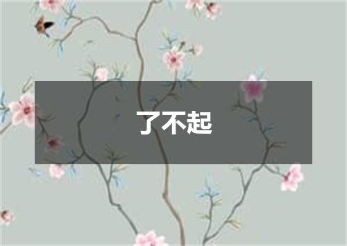 了不起
