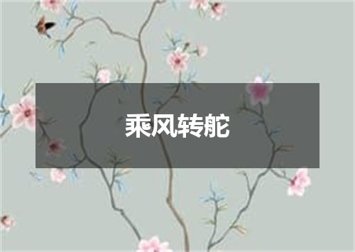 乘风转舵