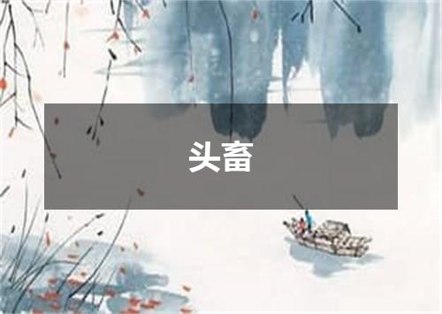 头畜