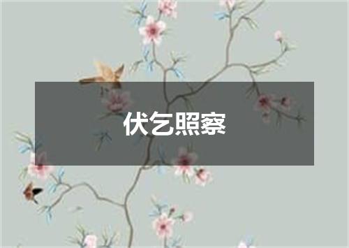 伏乞照察