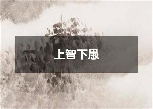 上智下愚