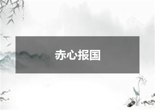 赤心报国