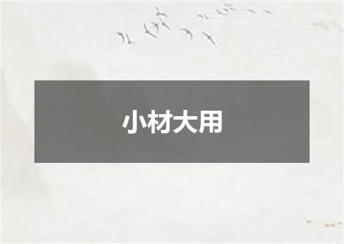 小材大用