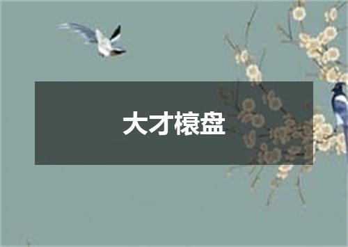 大才榱盘