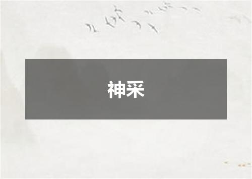 神采