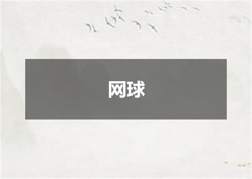 网球