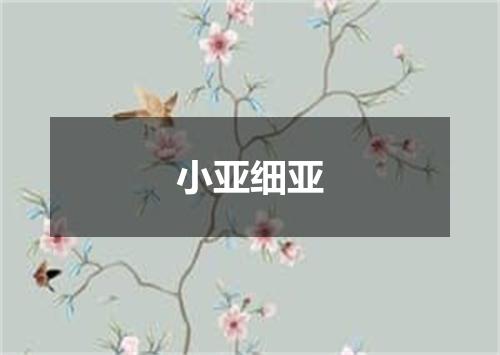 小亚细亚