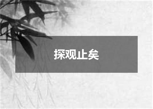 探观止矣