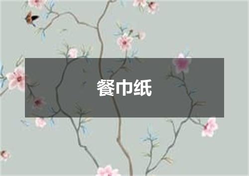 餐巾纸