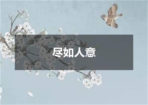 尽如人意
