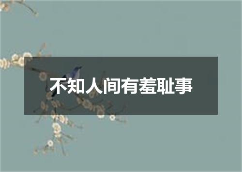 不知人间有羞耻事