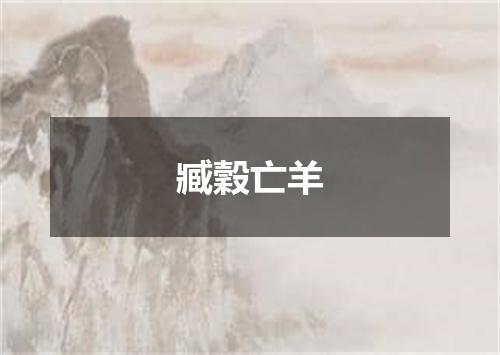 臧穀亡羊