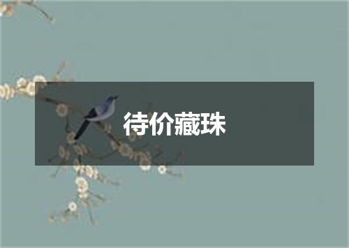 待价藏珠