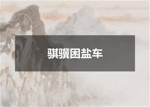 骐骥困盐车
