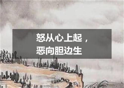 怒从心上起，恶向胆边生