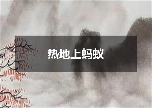 热地上蚂蚁