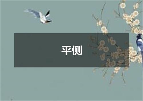 平侧