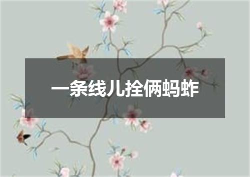一条线儿拴俩蚂蚱