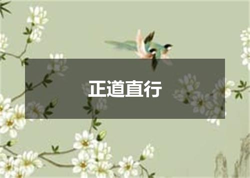 正道直行