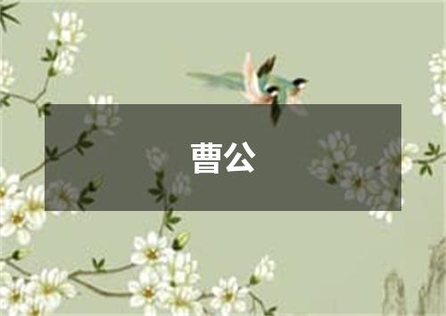 曹公