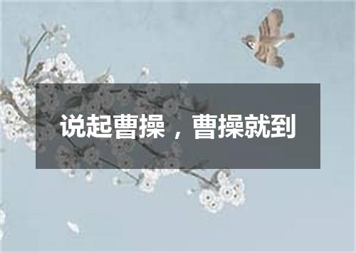 说起曹操，曹操就到