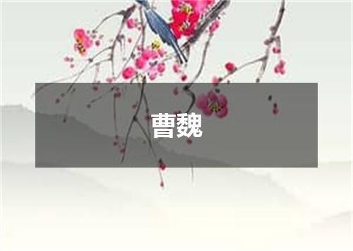 曹魏