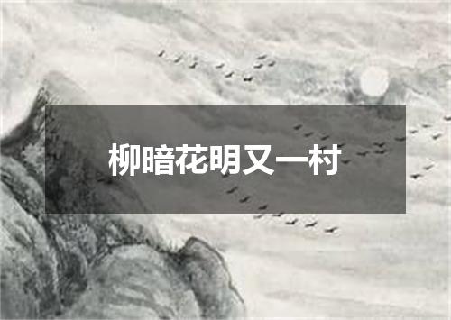 柳暗花明又一村