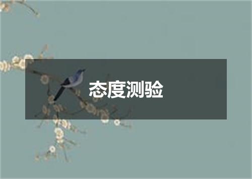 态度测验