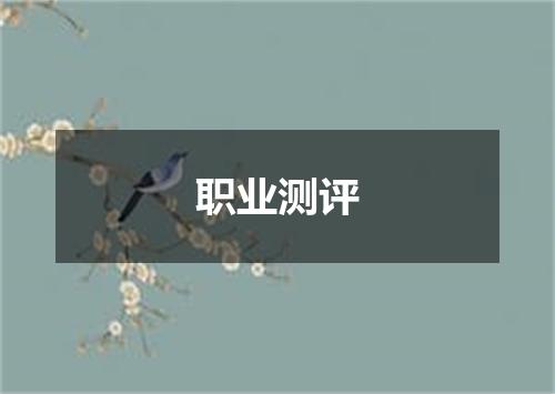 职业测评