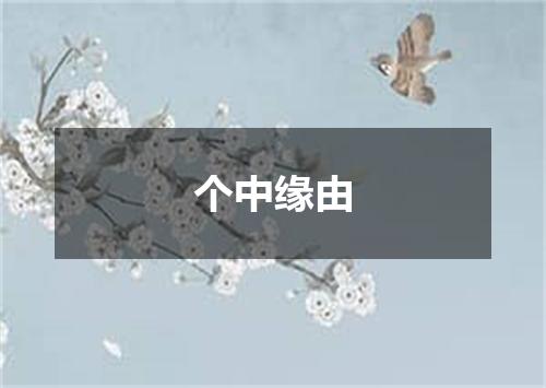 个中缘由