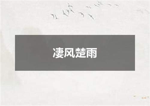 凄风楚雨