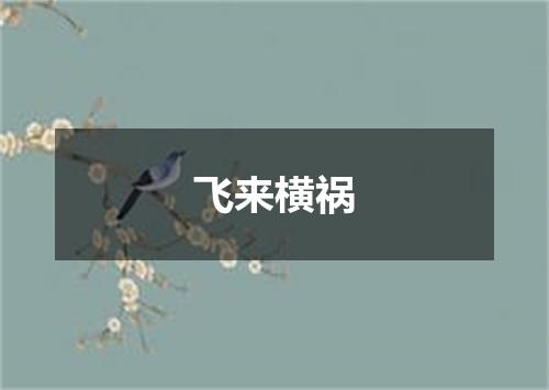 飞来横祸