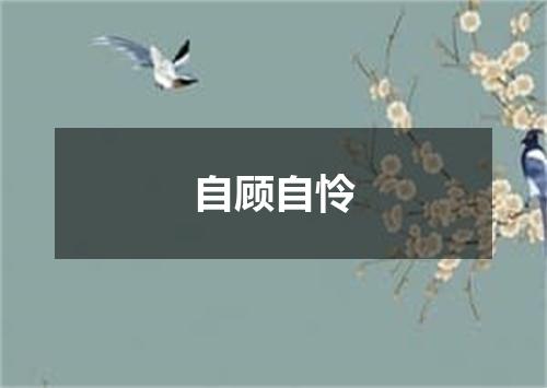 自顾自怜