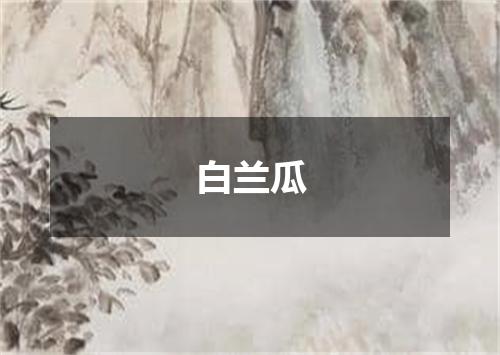 白兰瓜