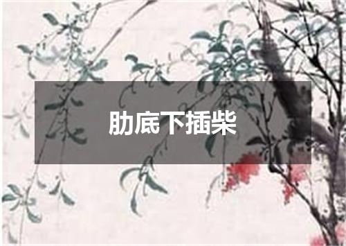 肋底下插柴