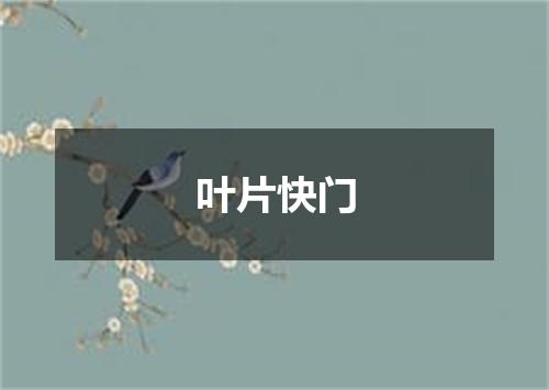 叶片快门