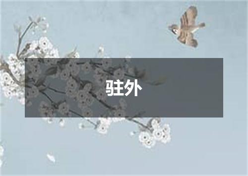 驻外