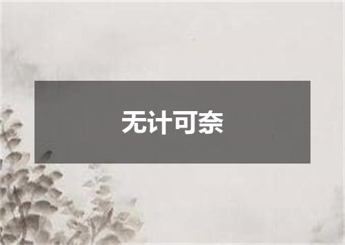 无计可奈