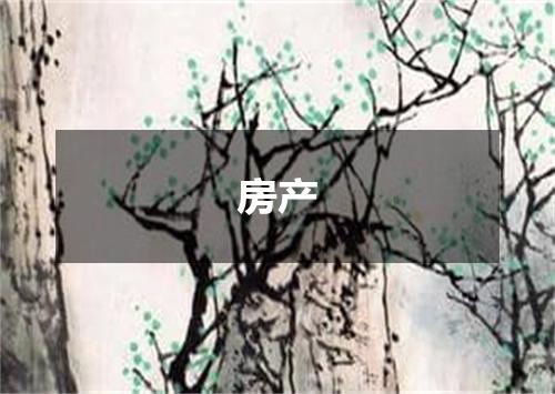 房产